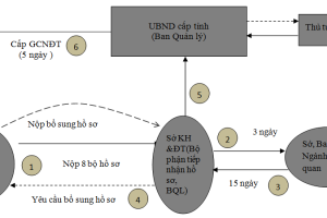 QUY TRÌNH THỦ TỤC ĐẦU TƯ